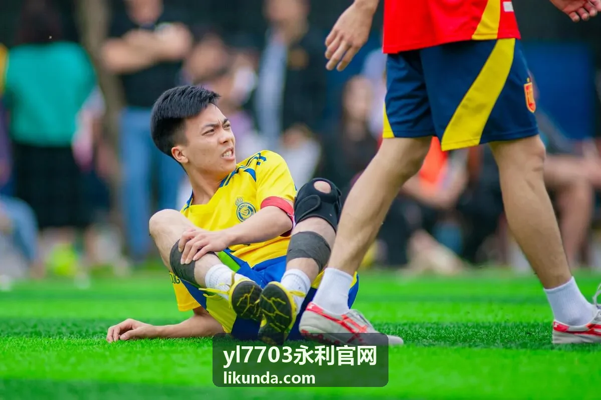 yl7703永利官网服务分类整理展示图
